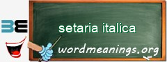 WordMeaning blackboard for setaria italica